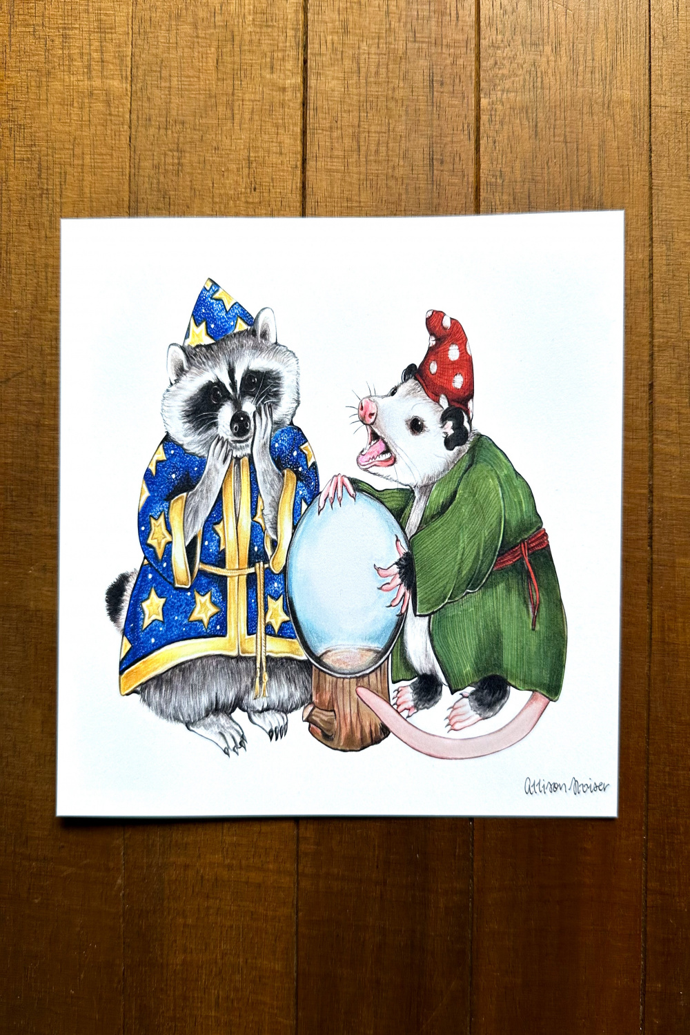 Wizard Raccoon and Mystical Possum Print (" x ") – Allison