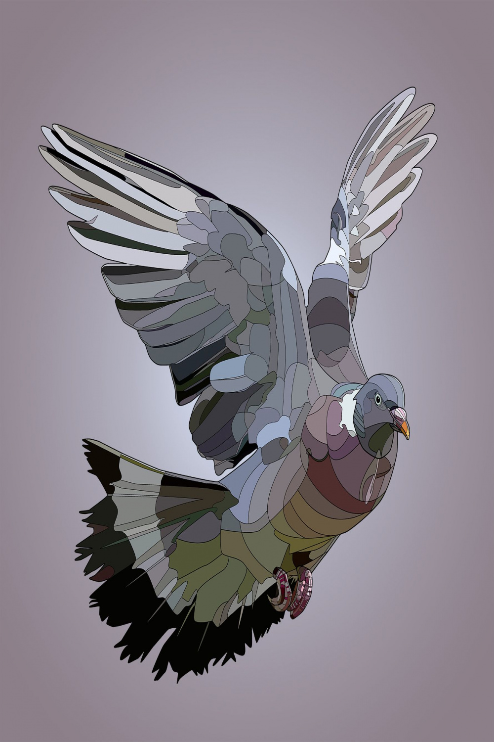 Wood Pigeon  Wood pigeon, Birds painting, Bird art