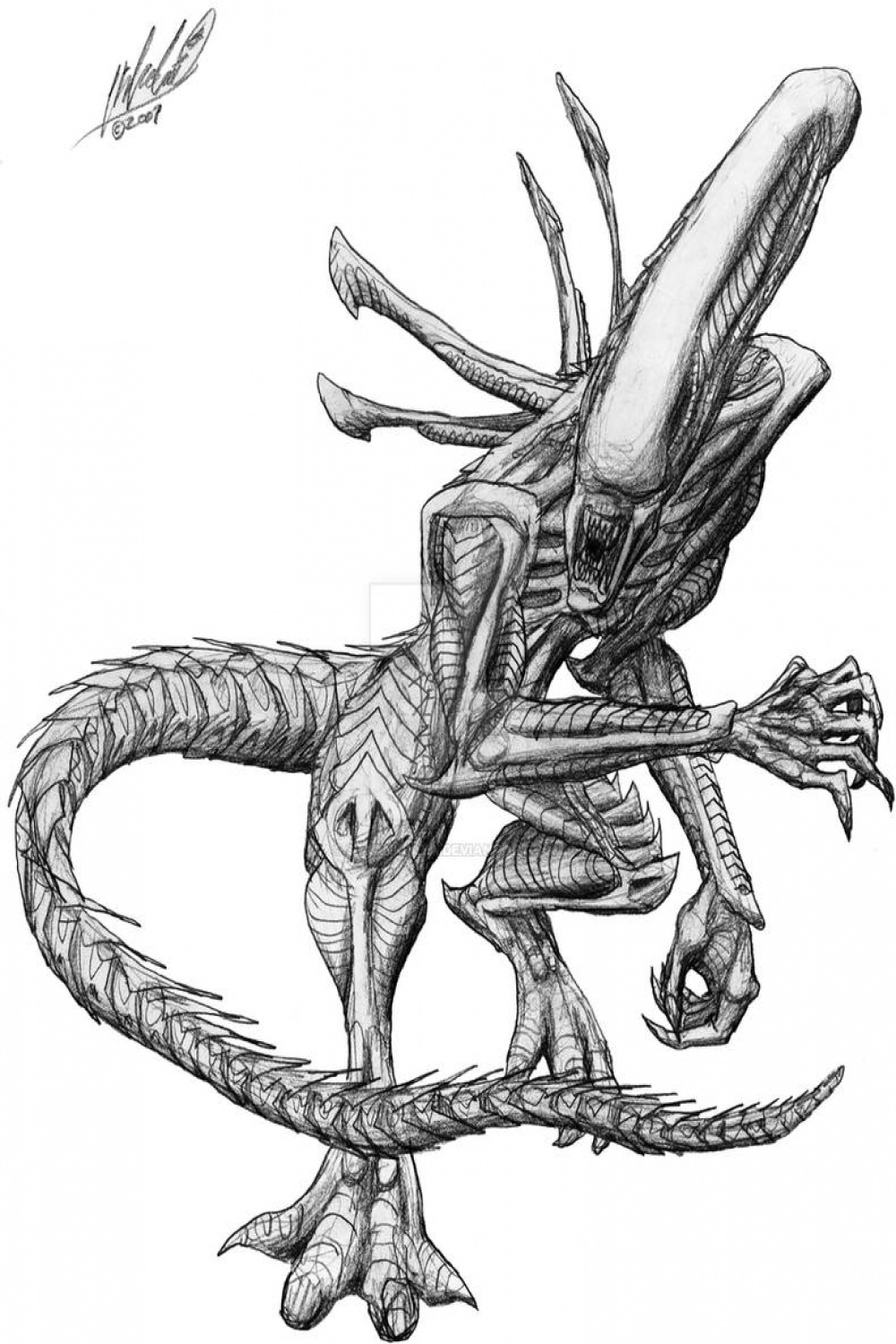 Xenomorph Drone -sketch- by Simiankolya on DeviantArt
