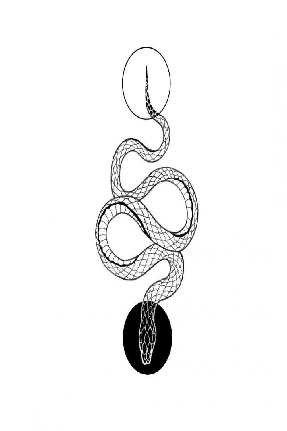 ⚪️Yin yang snake ⚫️ . Diggin