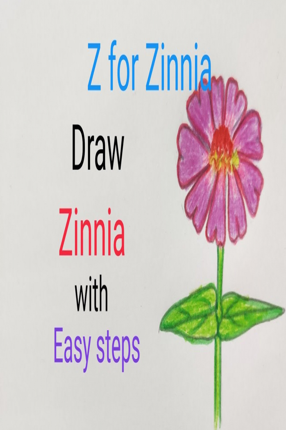 Zinnia flower drawing easy, Zenia drawing easy #Z for Zinnia ,How to draw  Zenia plant easy for kids