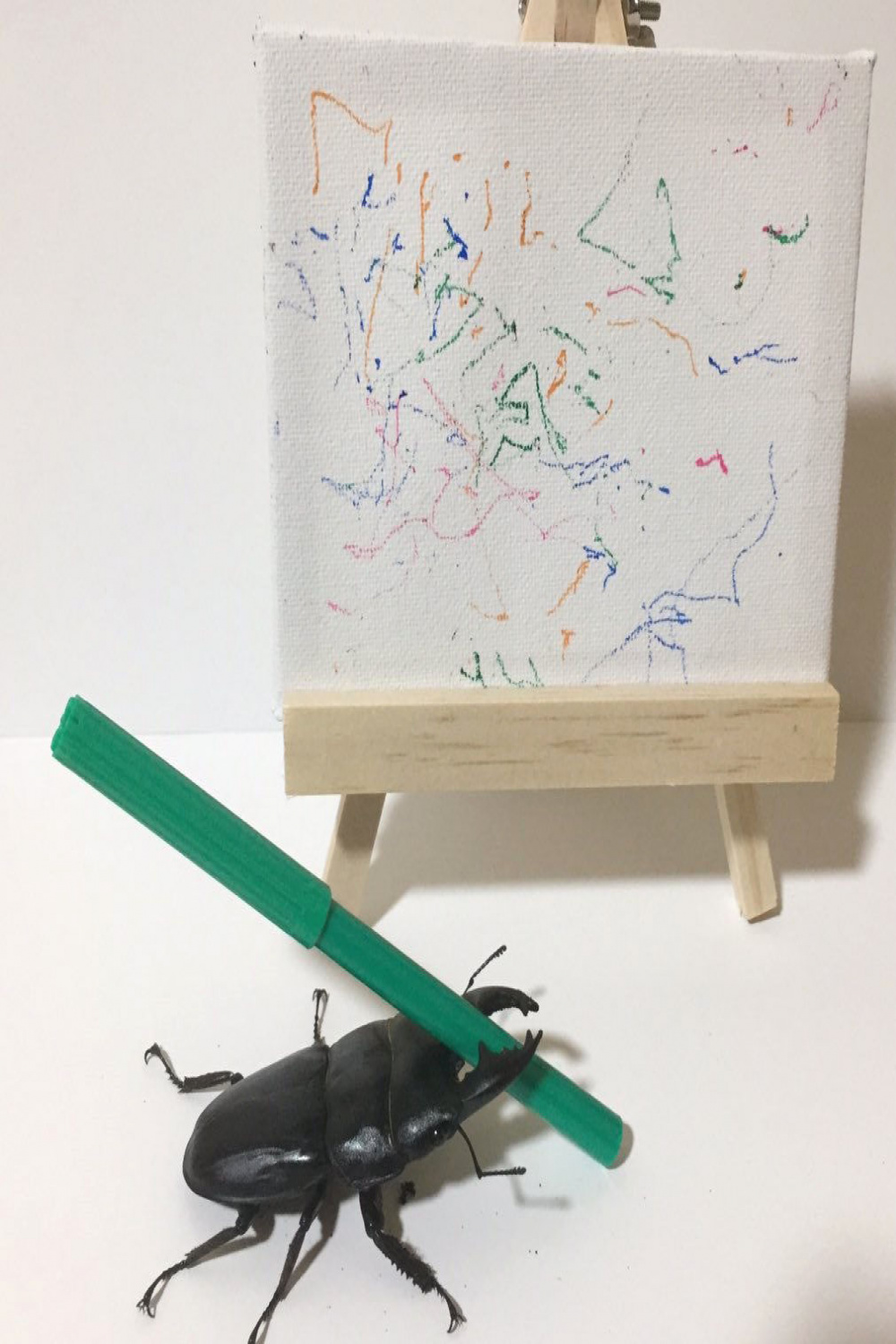 A Drawing Beetle Is Captivating the Internet With His Colorful