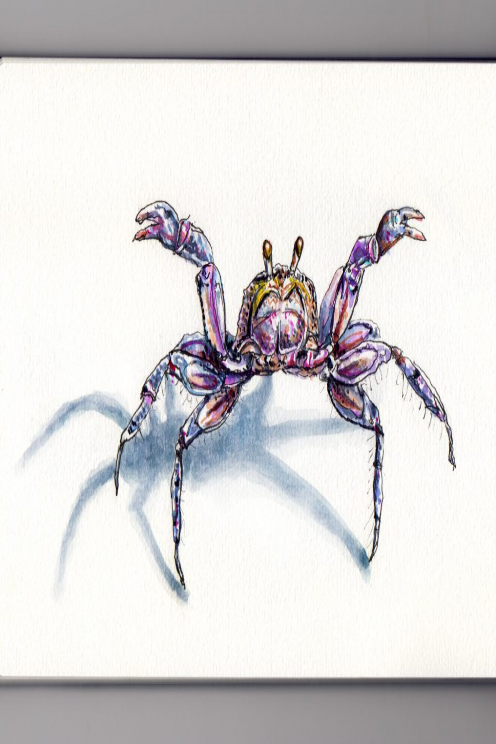 A Little Crab On The Beach - Doodlewash®