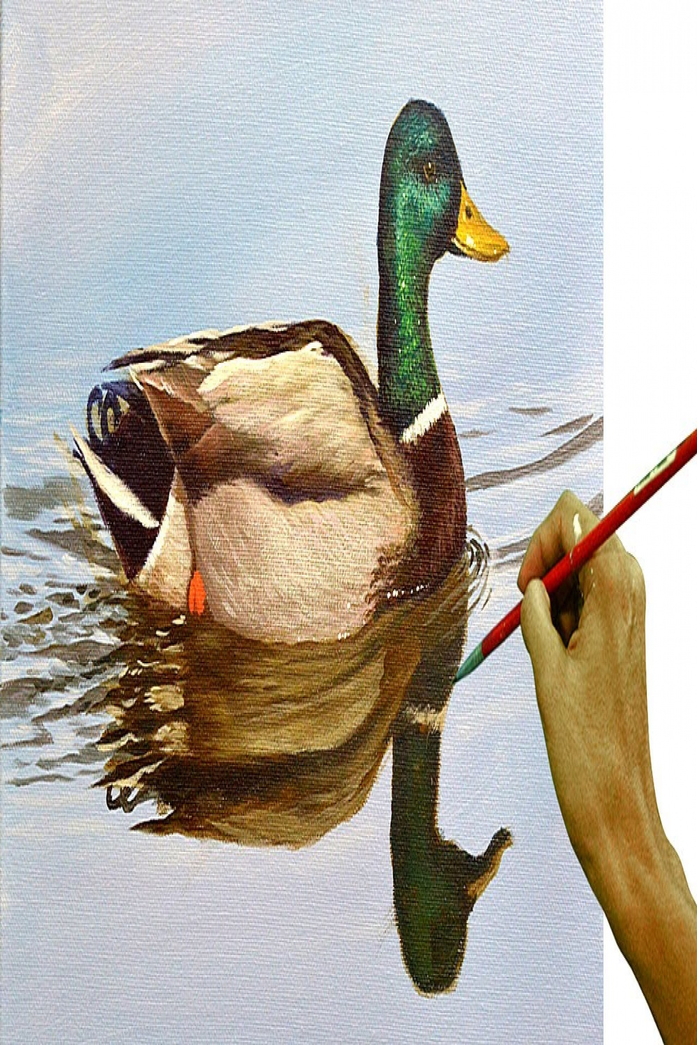 Acrylic Painting in Time-lapse / Realistic Wild Duck / JMLisondra