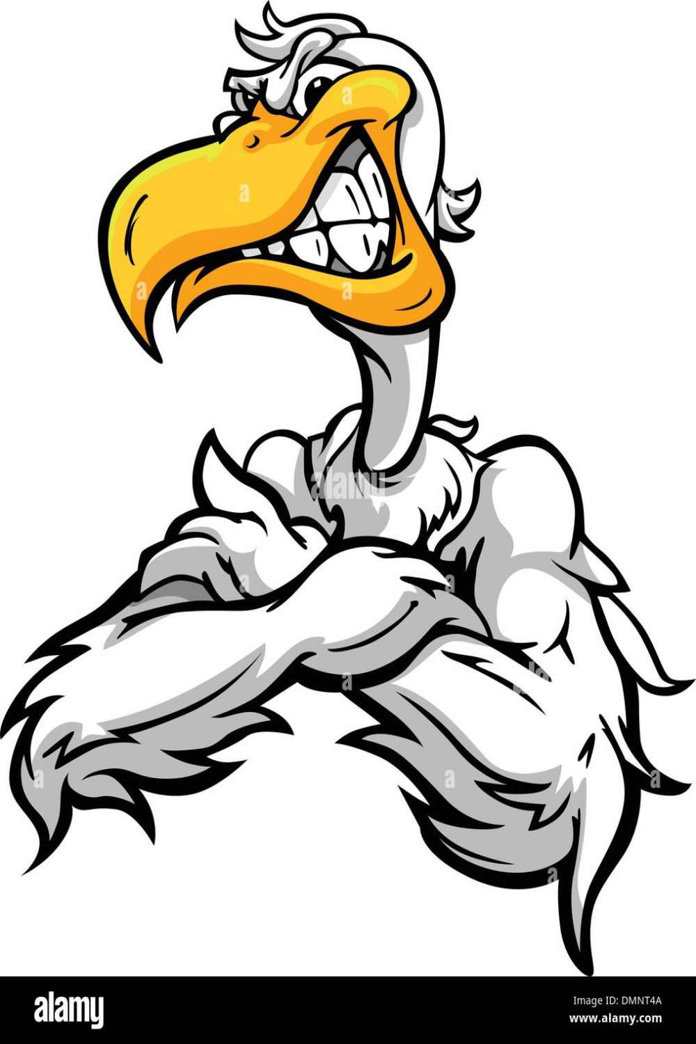 Aggressive seagull Stock Vector Images - Alamy