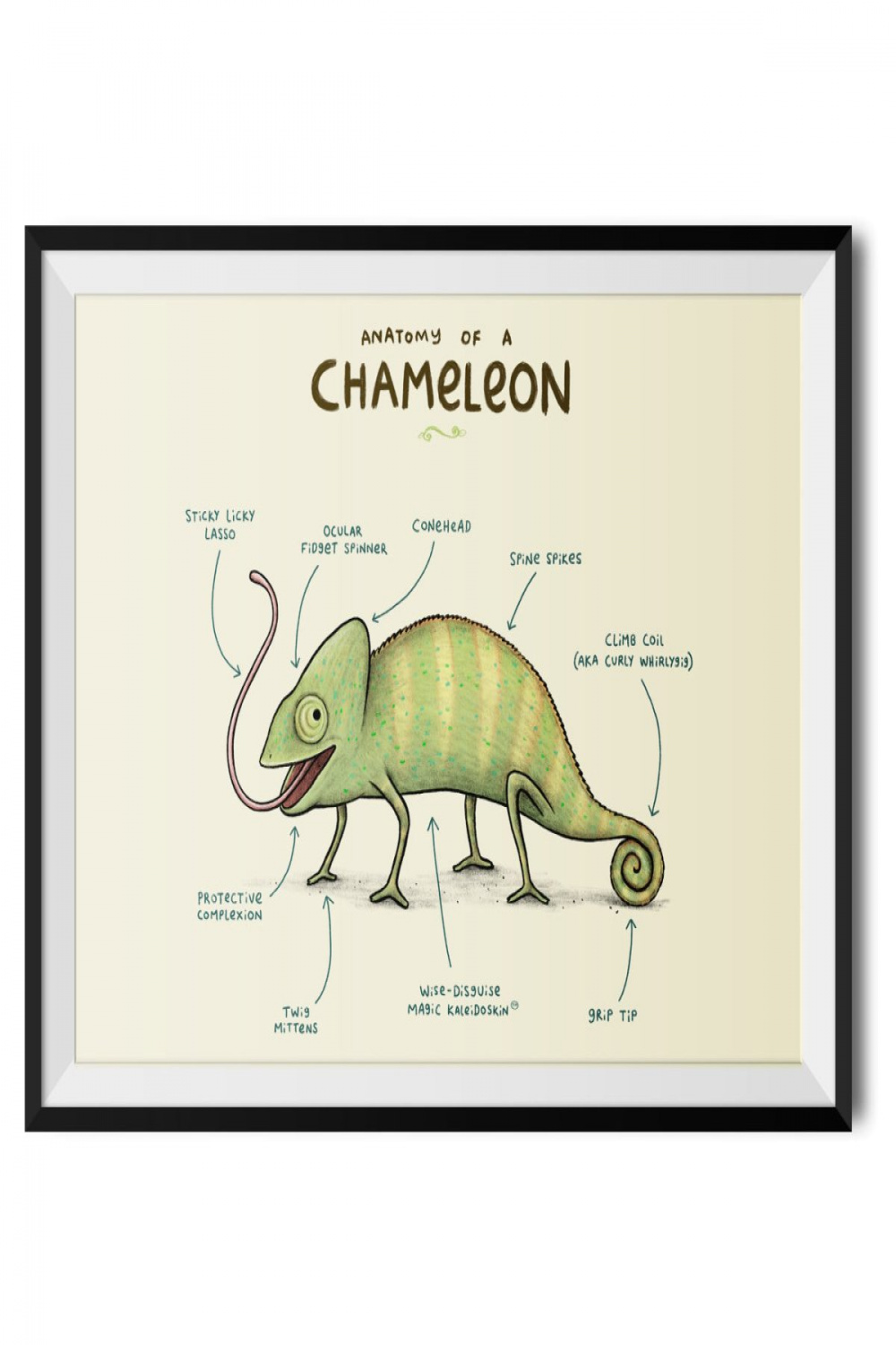 Anatomy of a Chameleon
