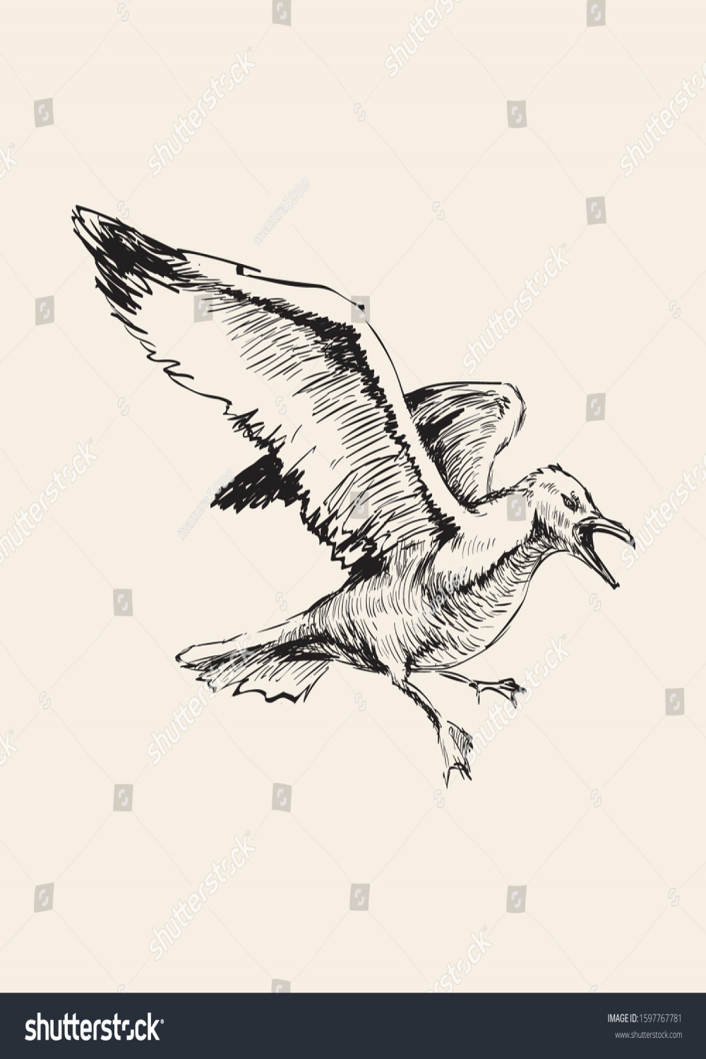 Angry Flying Seagulls Hand Drawing Sketch Stock Vector (Royalty