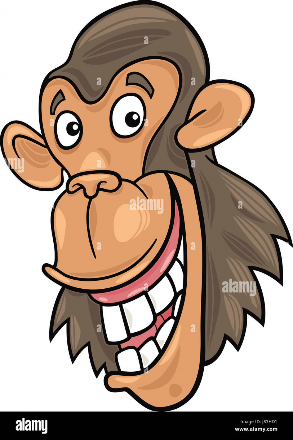 animal illustration gorilla chimpanzee funny cartoon laugh laughs