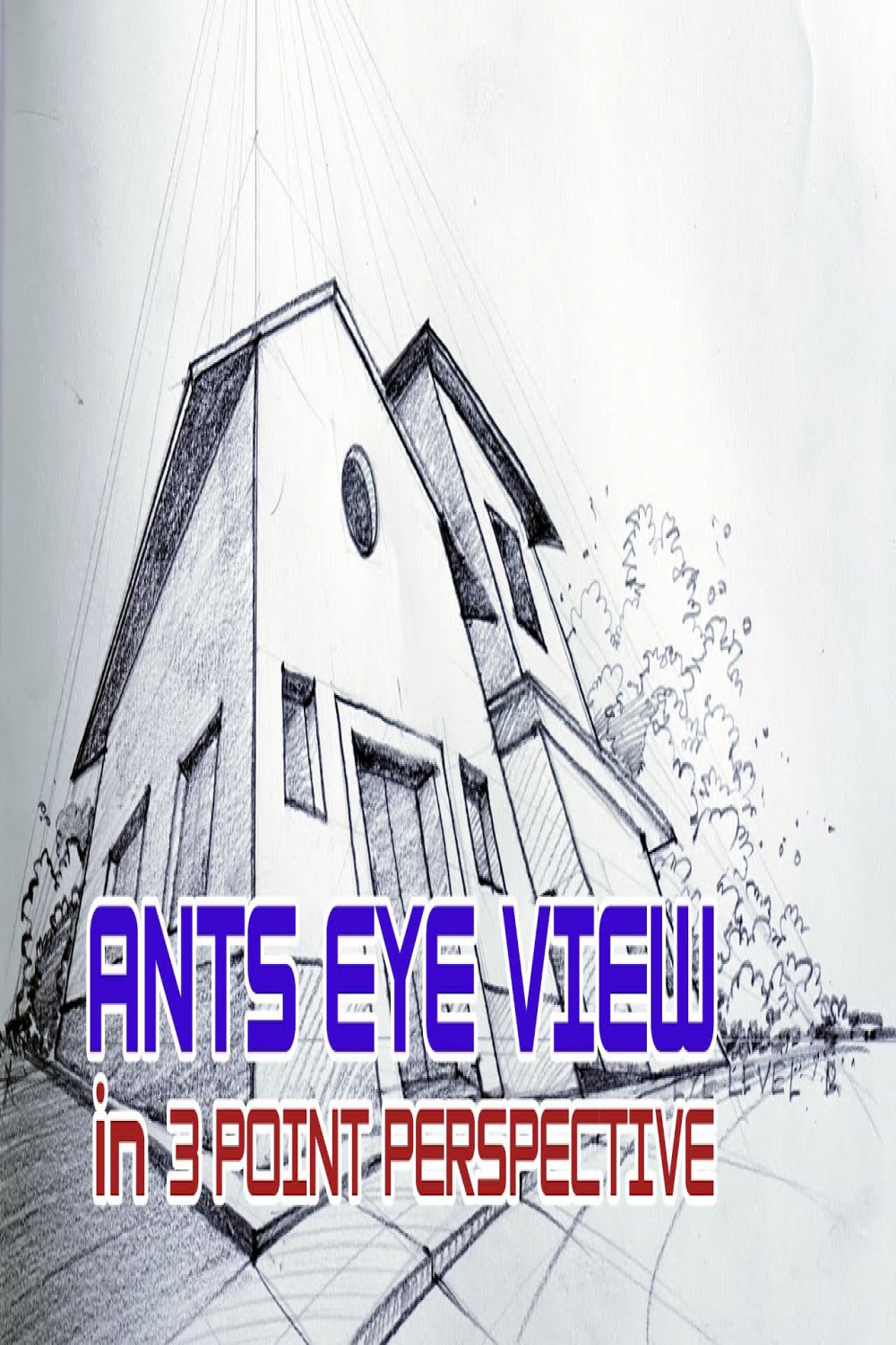 Ants Eye View in  point perspective