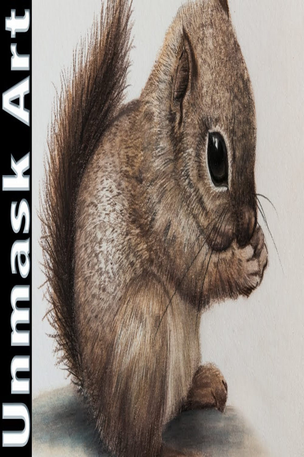 Baby Squirrel  Colored Pencil Drawing Time Lapse