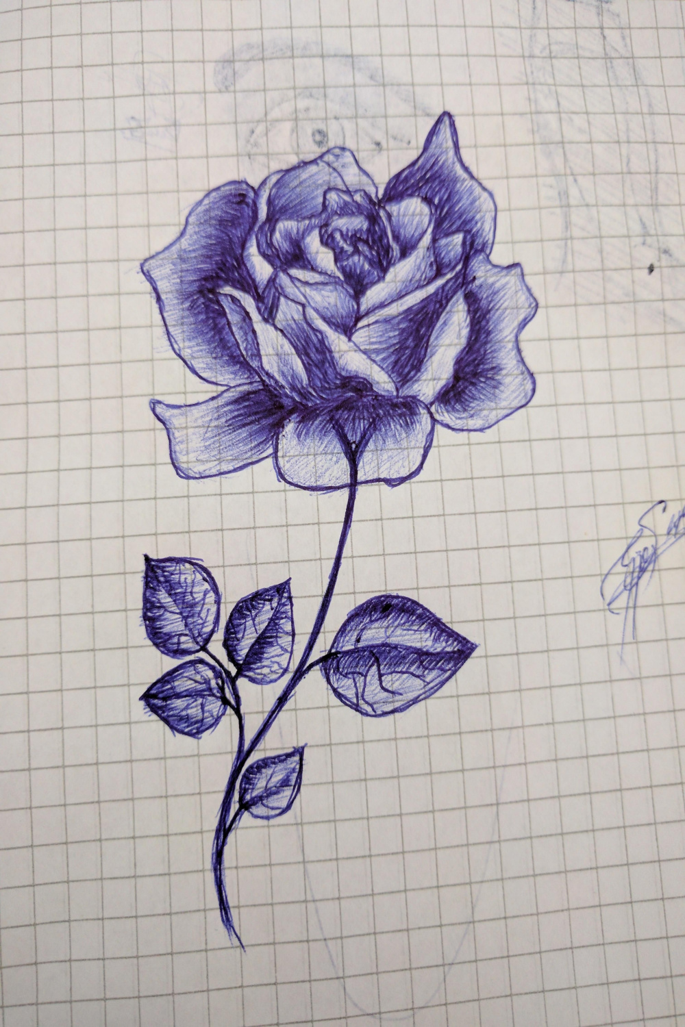 Ballpoint pen rose sketch by me