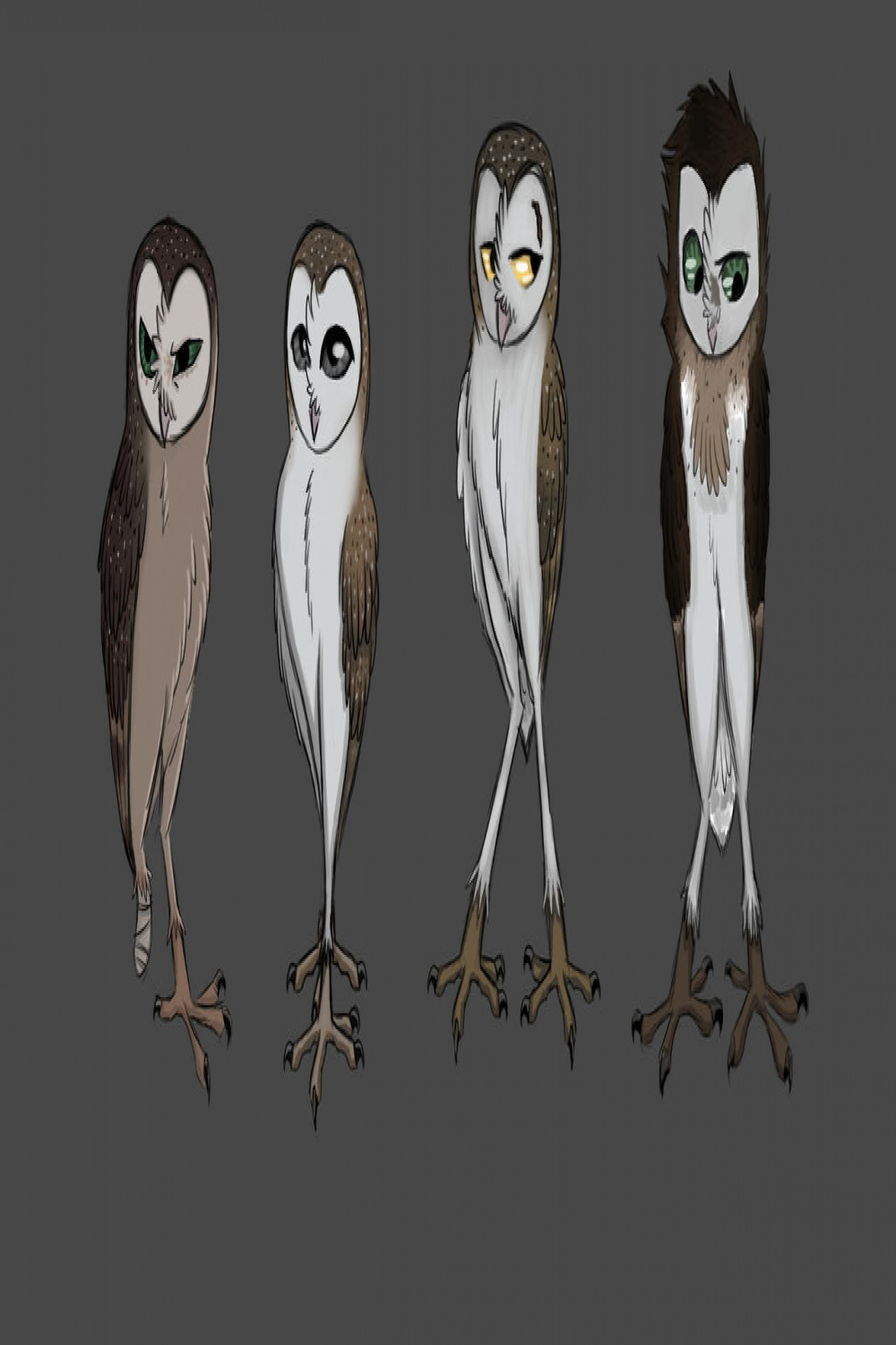 barn owl oc by Teke on DeviantArt