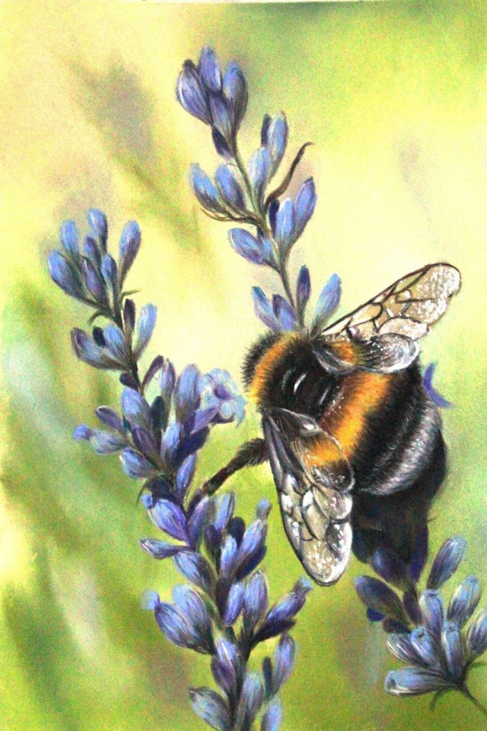 Bee () Pastel drawing by Nata New  Bee painting, Flower art