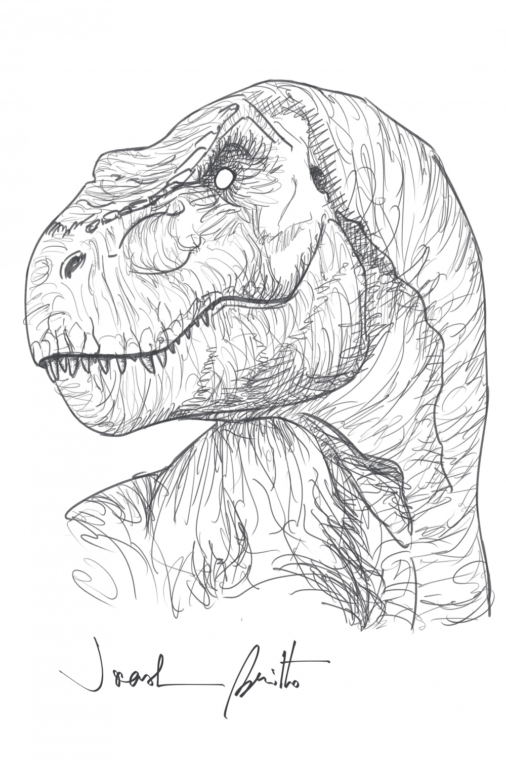 Best Dinosaur Drawing ideas  dinosaur drawing, dinosaur