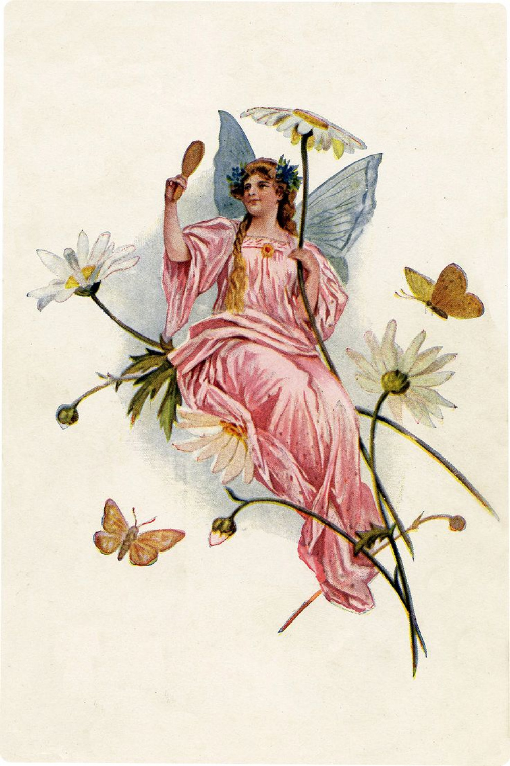 Best Fairy Pictures!  Fairy pictures, Fairy drawings, Fairy