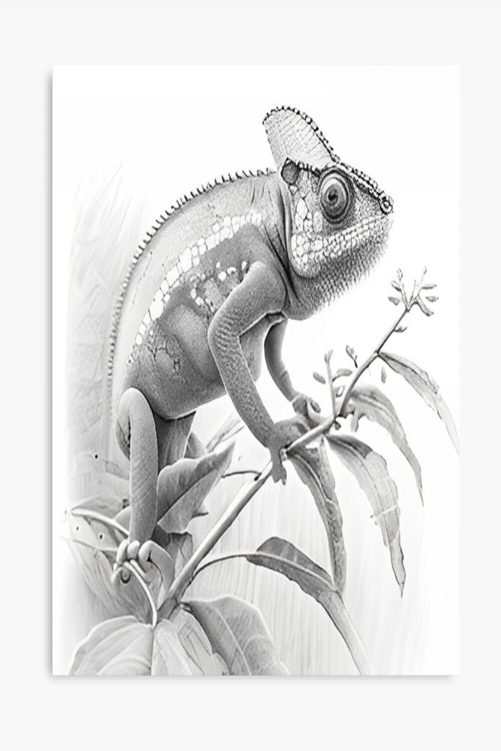 Black and white Chameleon drawing  Hardcover Journal