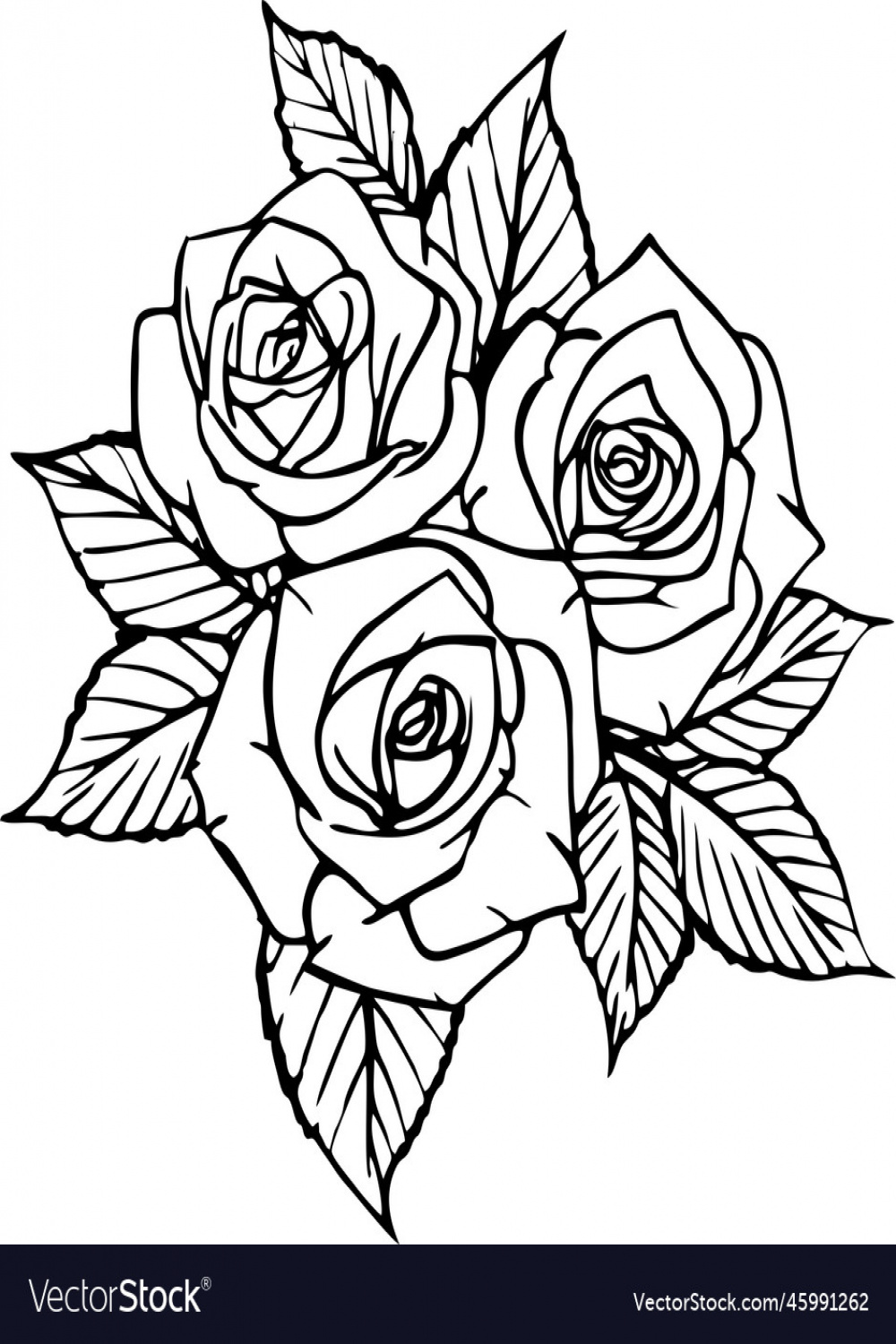 Black contour drawing of three rose flowers Vector Image