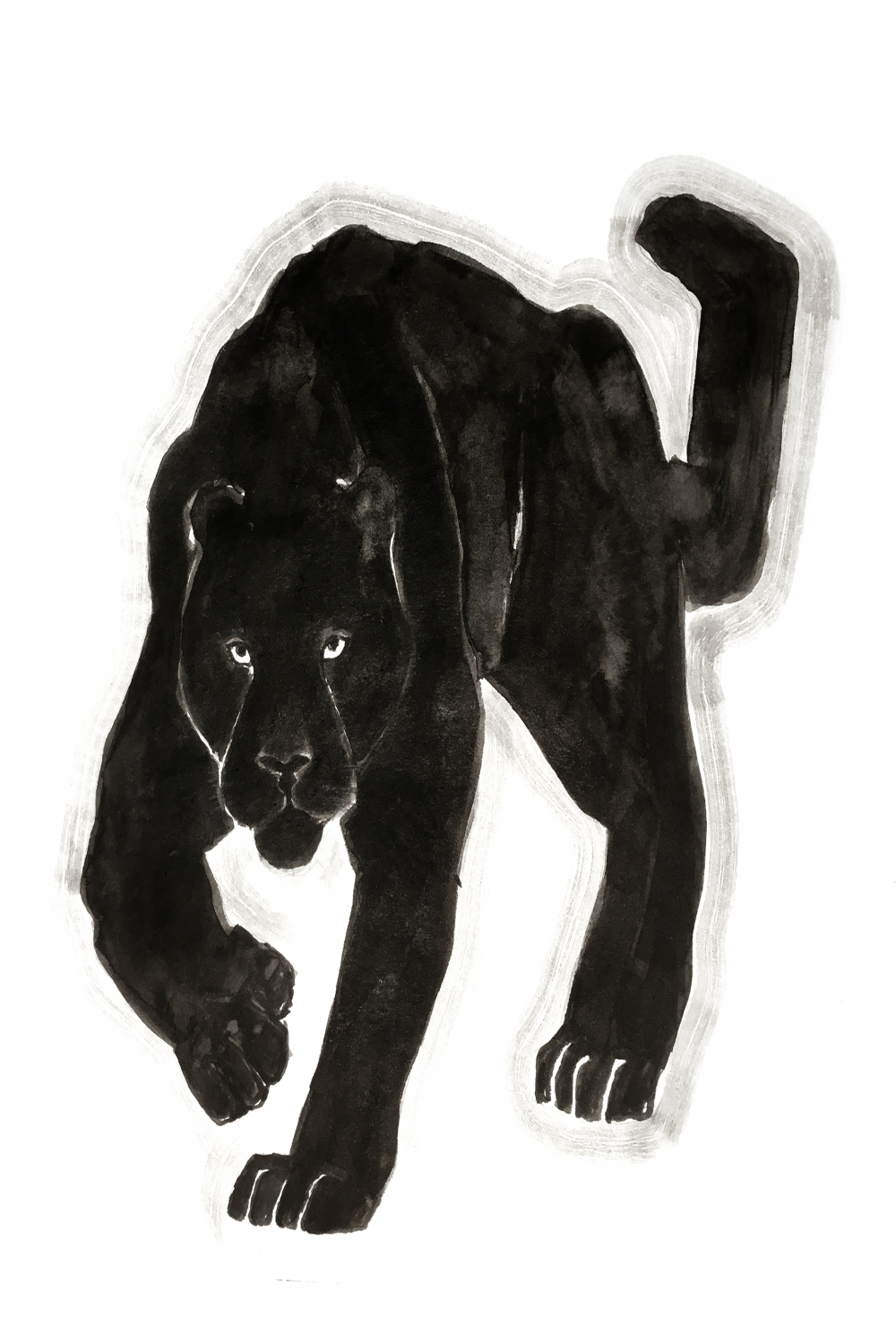 Black Jaguar  Behance :: Behance