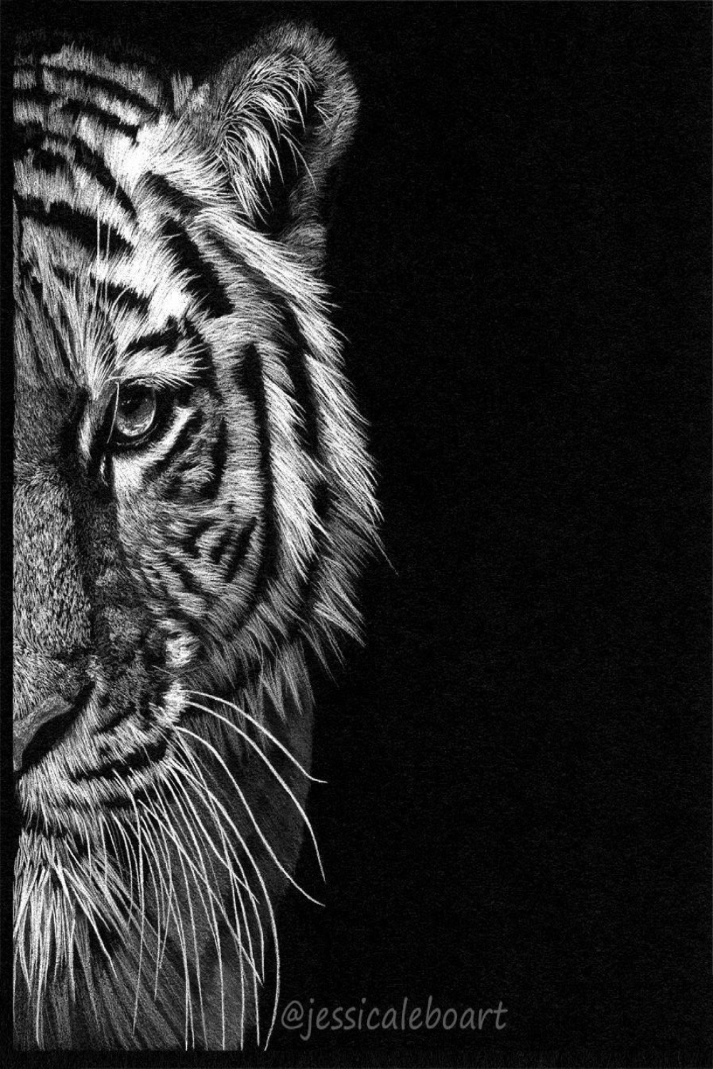 Black Paper Drawings  Black paper drawing, Black canvas art