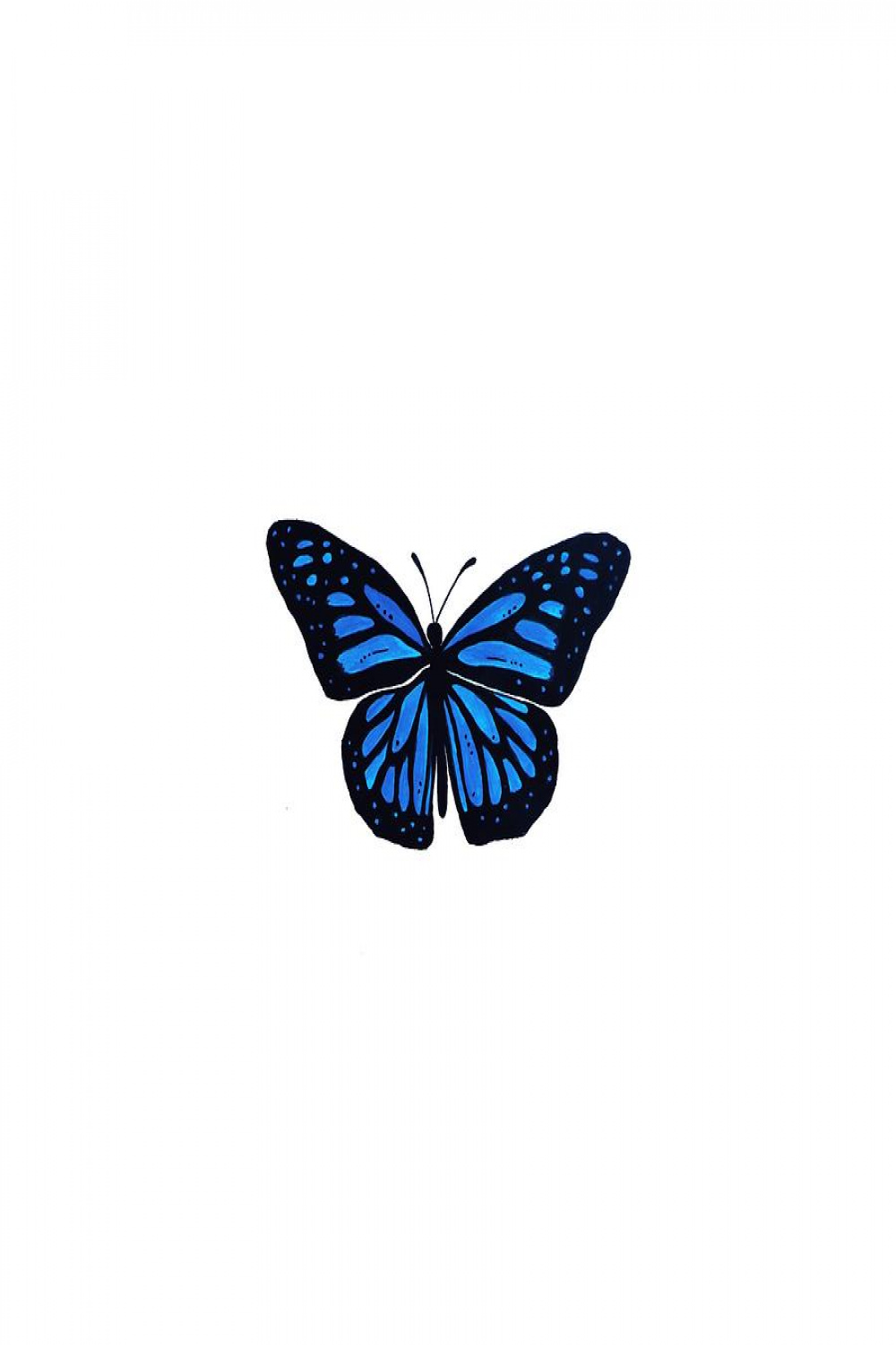 Blue butterfly by Njomza Mala
