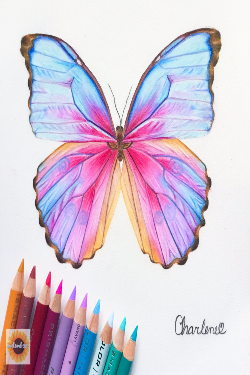 Butterfly drawing  Butterfly drawing, Colorful drawings, Colored