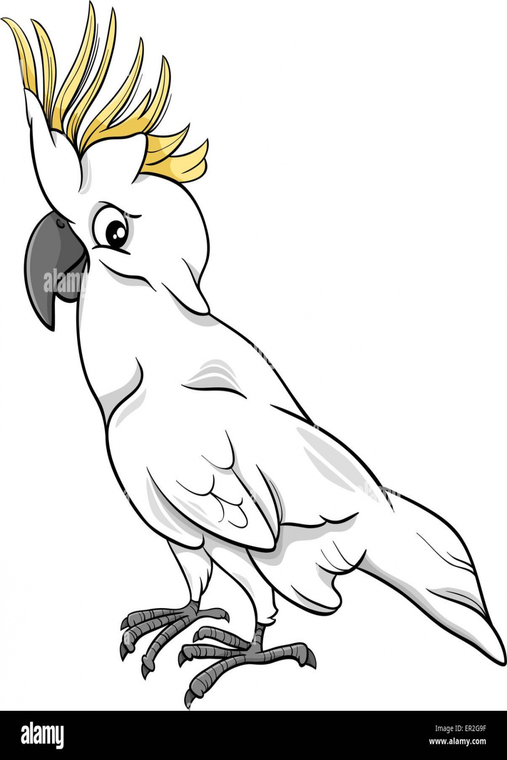 Cartoon Illustration of Funny Cockatoo Parrot Bird Stock Vector