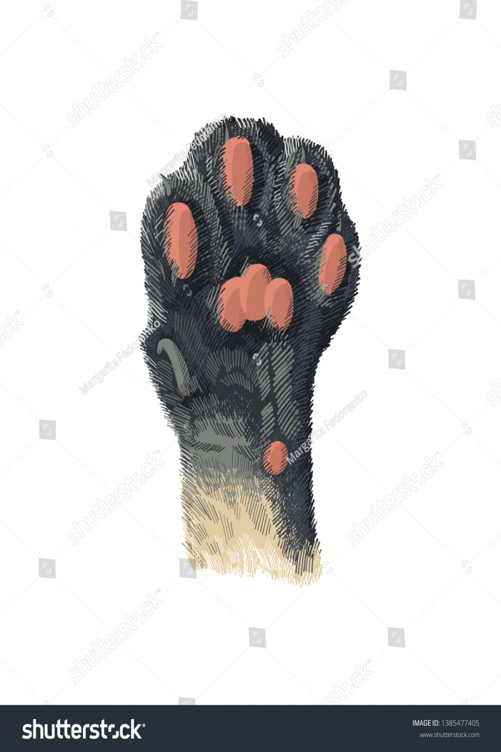 Cats Paw Pads Pulled Sketch Vector Stock Vector (Royalty Free