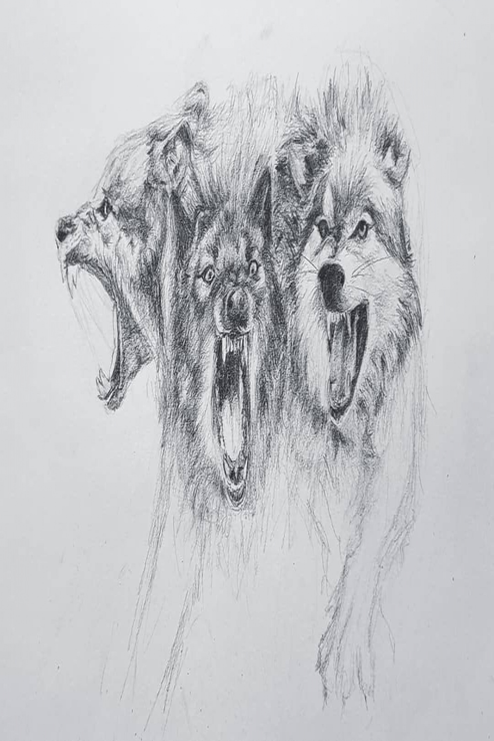 Cerberus: Guardian of the Underworld