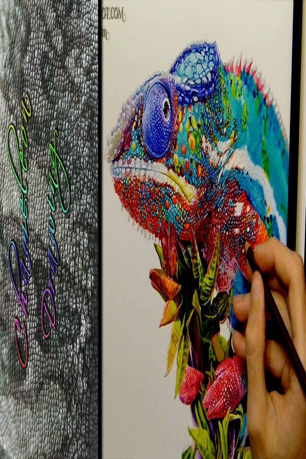 Chameleon Drawing Realistic #Ambrojordiart