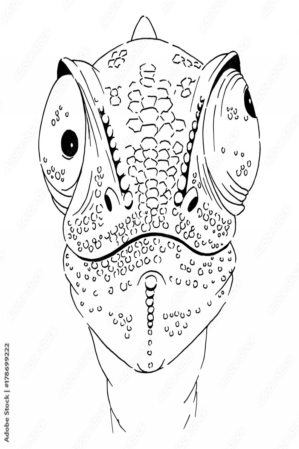 Chameleon graphic linear vector sketch Stock-Vektorgrafik  Adobe