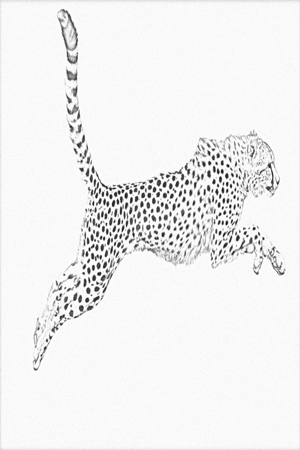 Cheetah lineart (free)  Kleine tattoo ideen, Geparden-tattoo