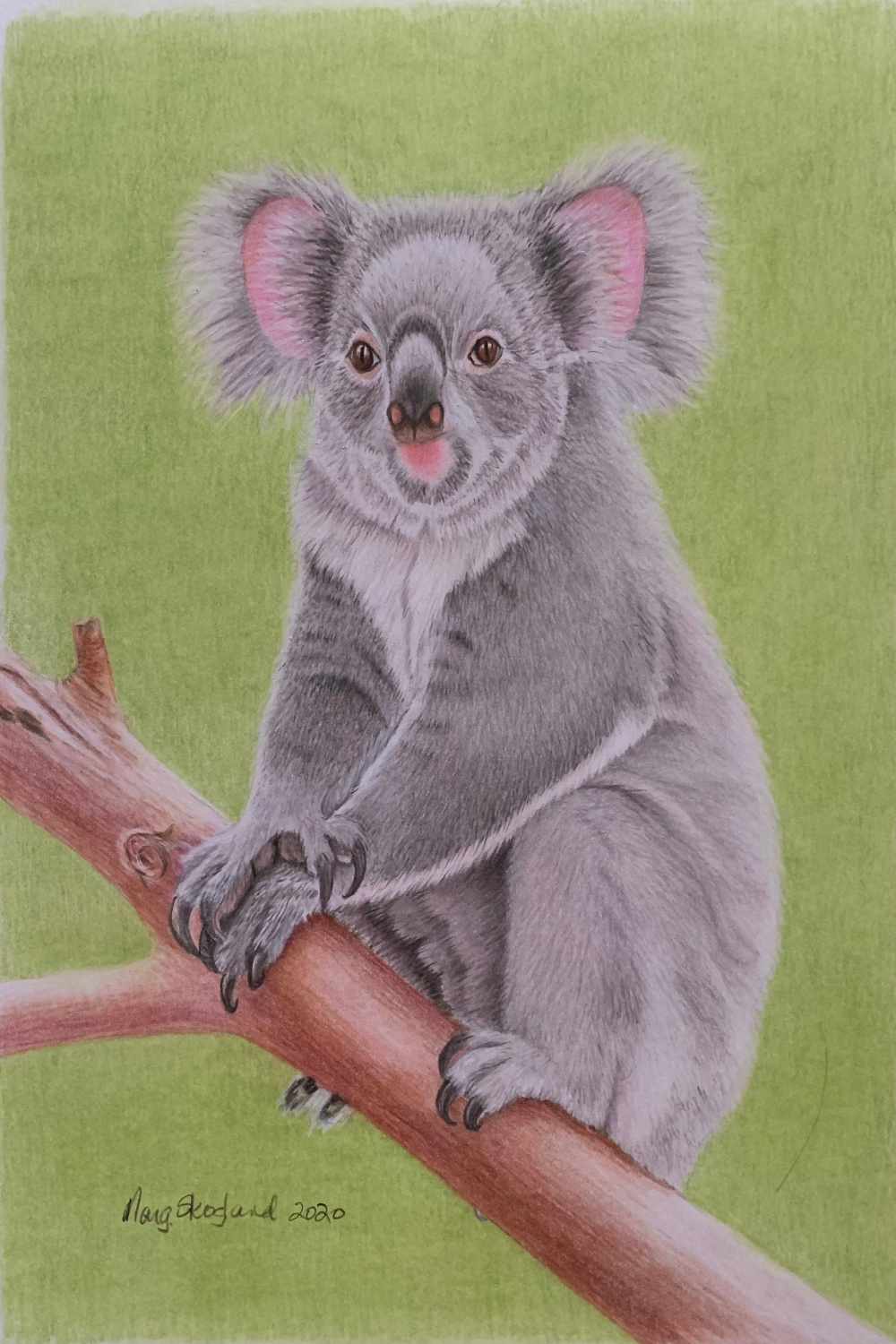 CLEARANCE, Koala, Coloured Pencil, Original Art, by Marg Skogland, Wall  Art, Australian Wildlife