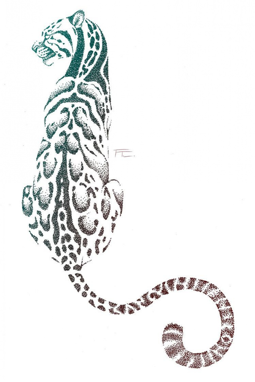Clouded Leopard #cloudedleopard #drawing #illustration