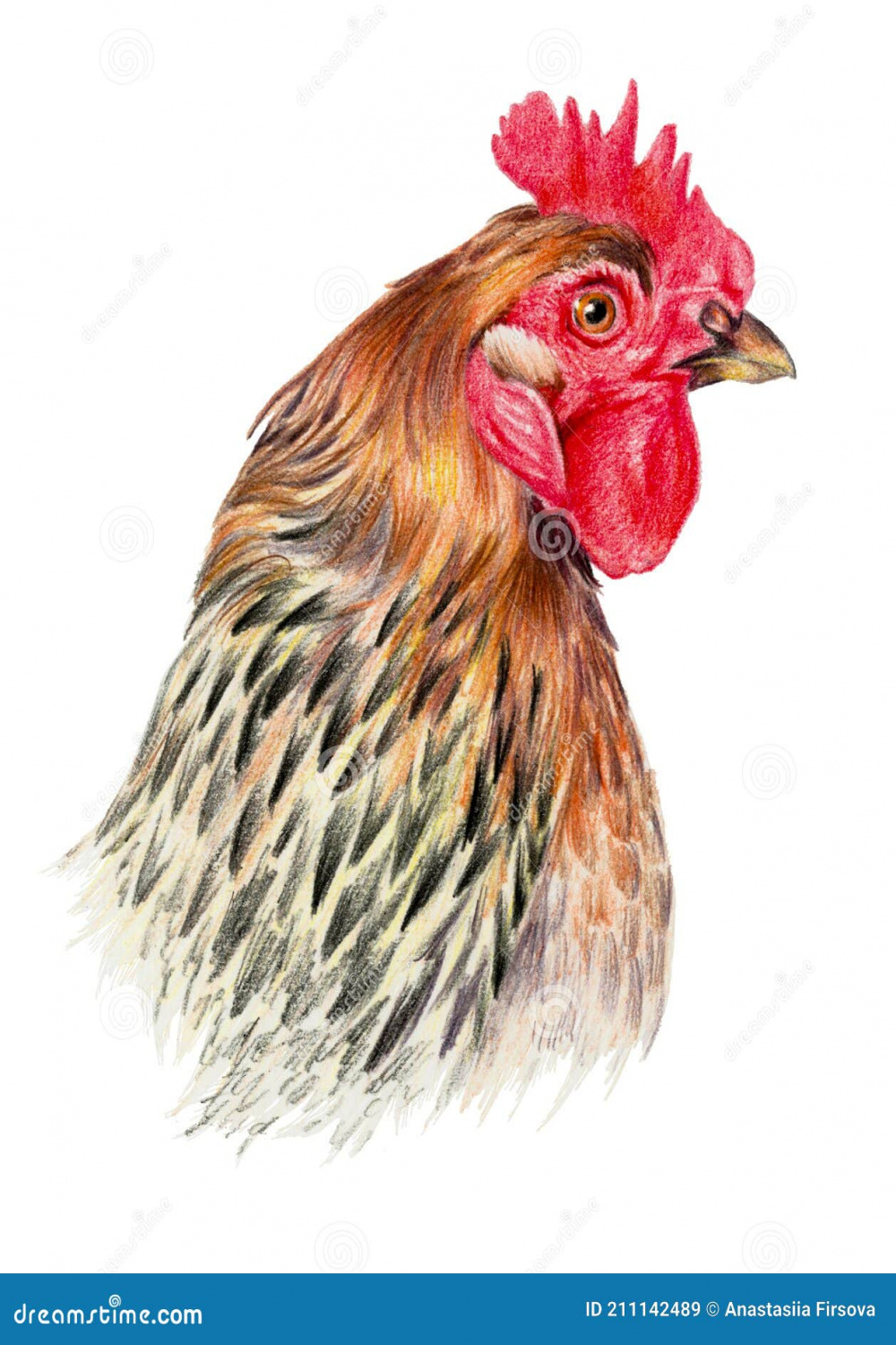 Color Drawing with Watercolor Pencils