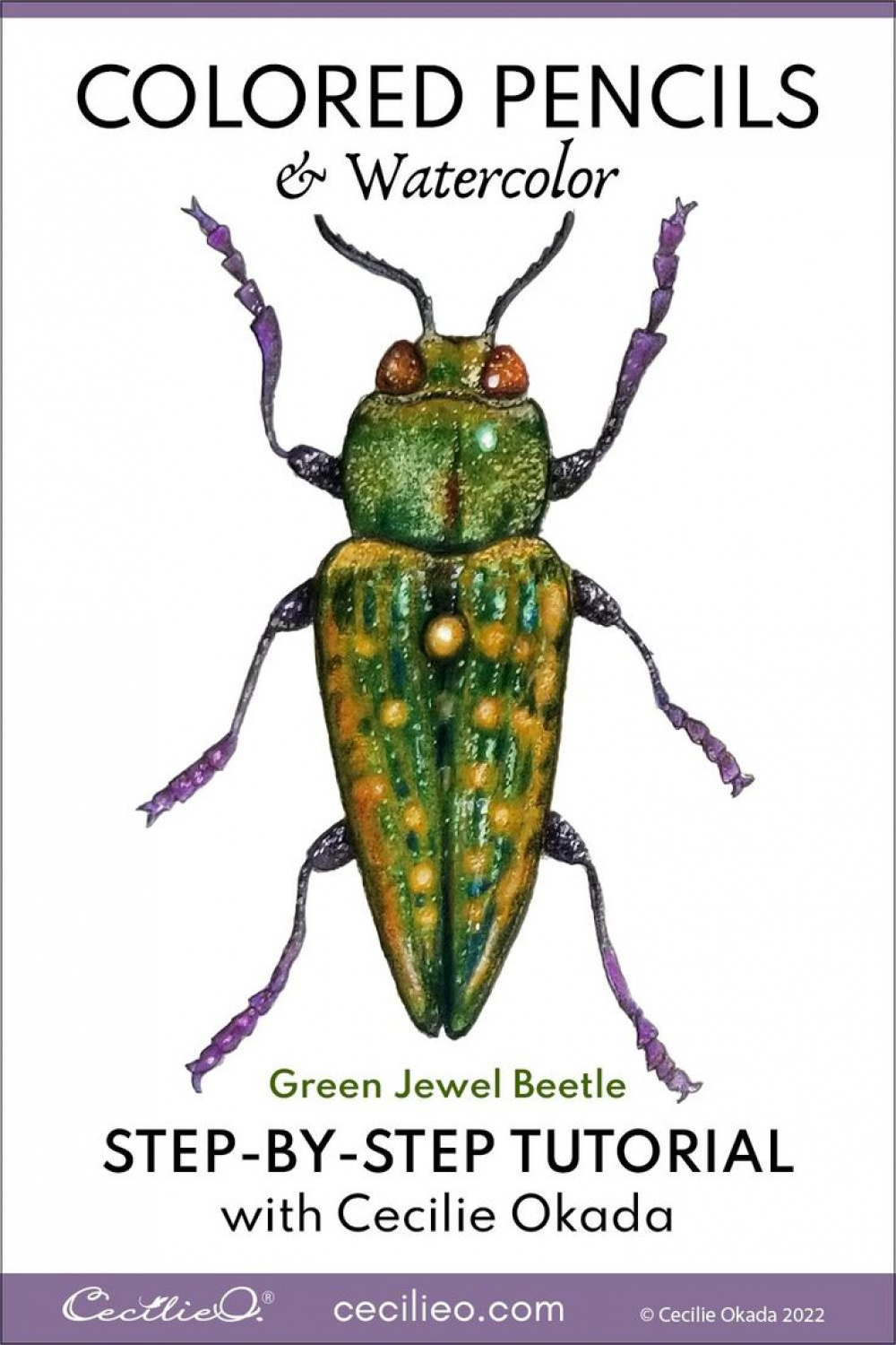 Colored Pencils Art Ideas: Jewel Beetle Tutorial  Color pencil