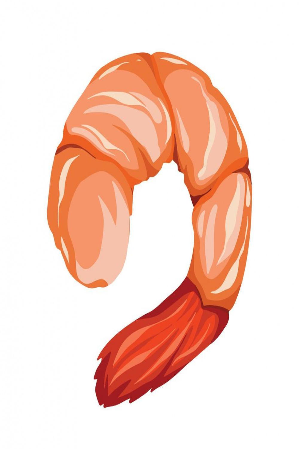 Cooked shrimp vector illustration isolated on plain white