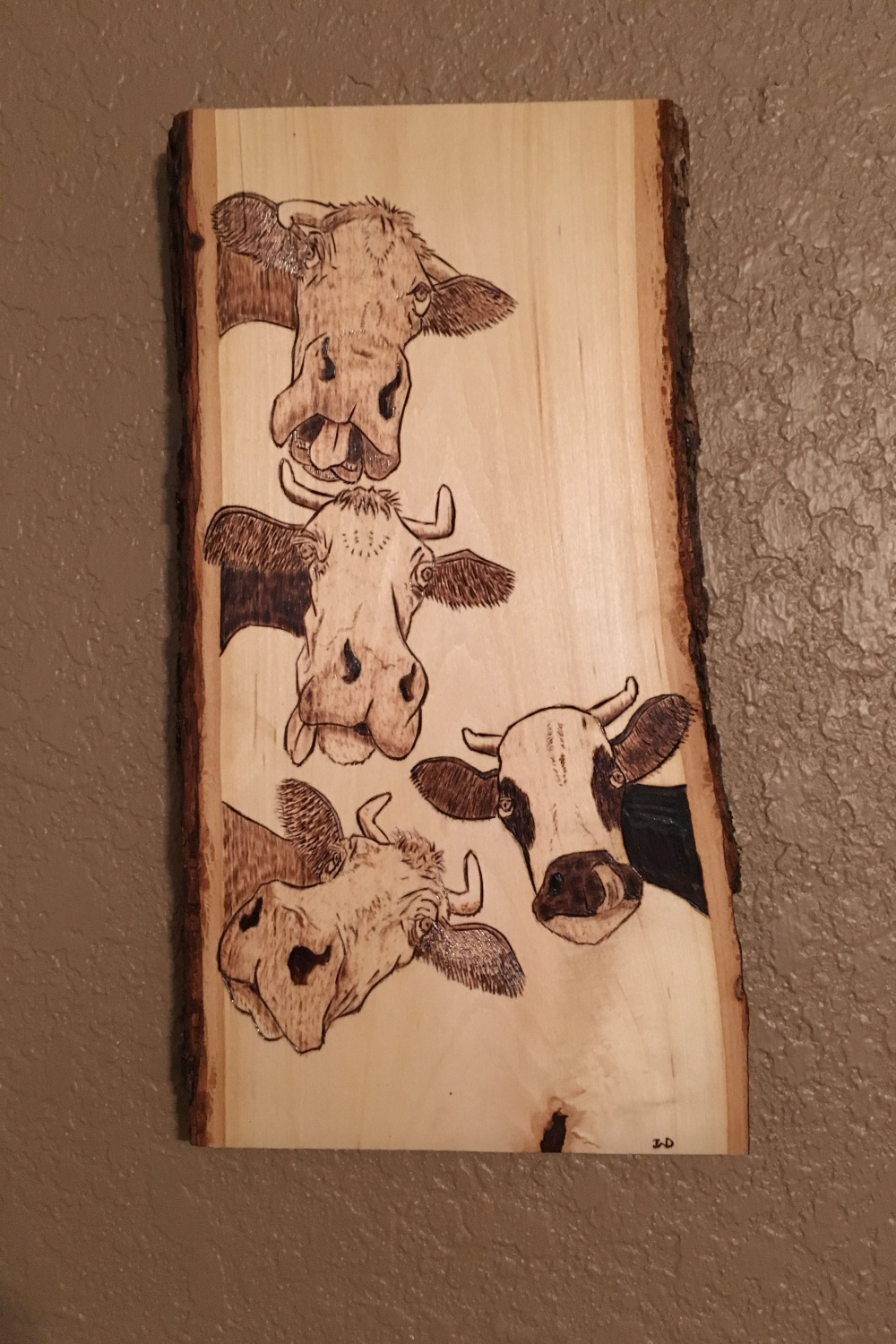 Crazy Cows Photobomb  Wood burning art, Wood burning patterns