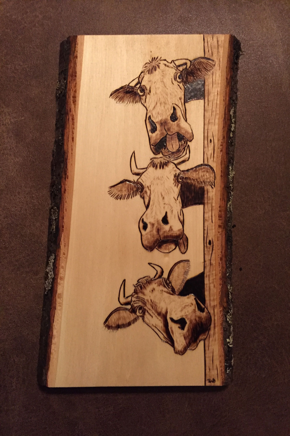 Crazy Cows  Wood burning patterns stencil, Wood burning crafts
