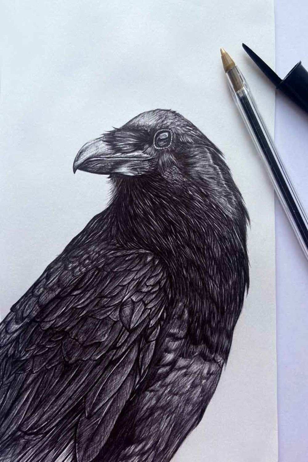 Crow auf Behance
