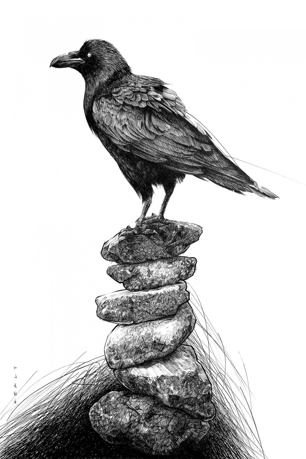 Crow Drawing Print – Black and White