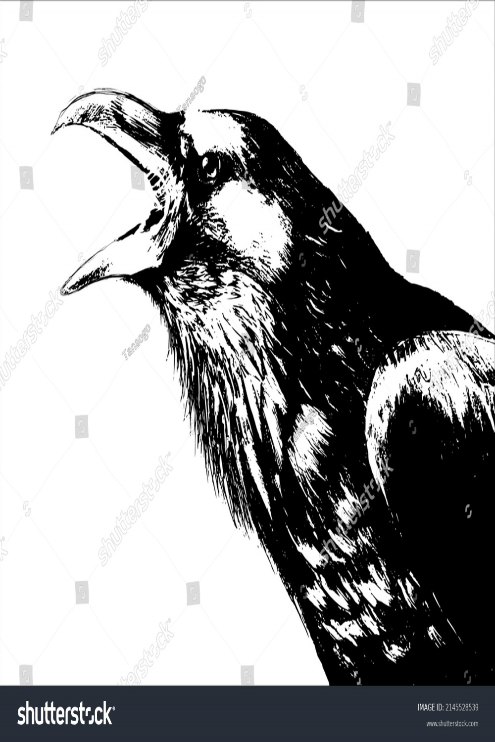 Crow Opened Mouth Royalty-Free Images, Stock Photos & Pictures