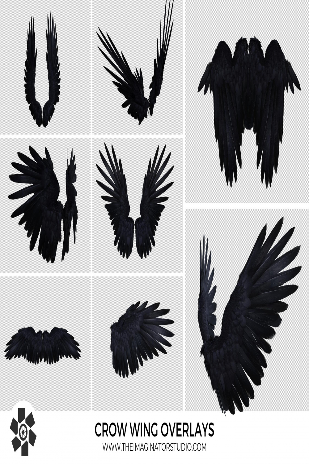 Crow Wing Overlays Black Wings Photoshop Photography Raven Wings