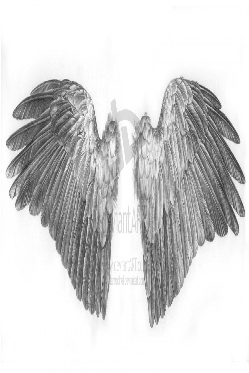 crow wings by glamrodhel on deviantART  Милые каракули, Крылья