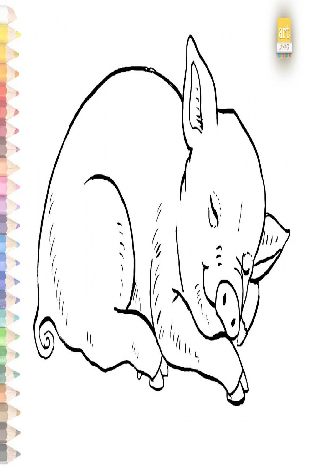 Cute sleeping pig drawing II How to draw A Pig drawing easy II #artjanag