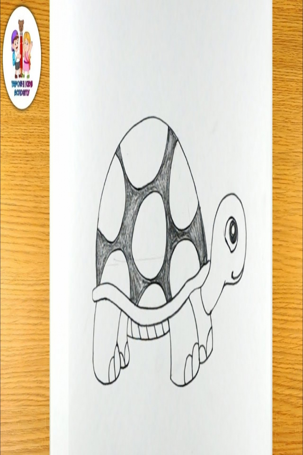 Cute tortoise pencil drawing  turtle drawing  elementary drawings