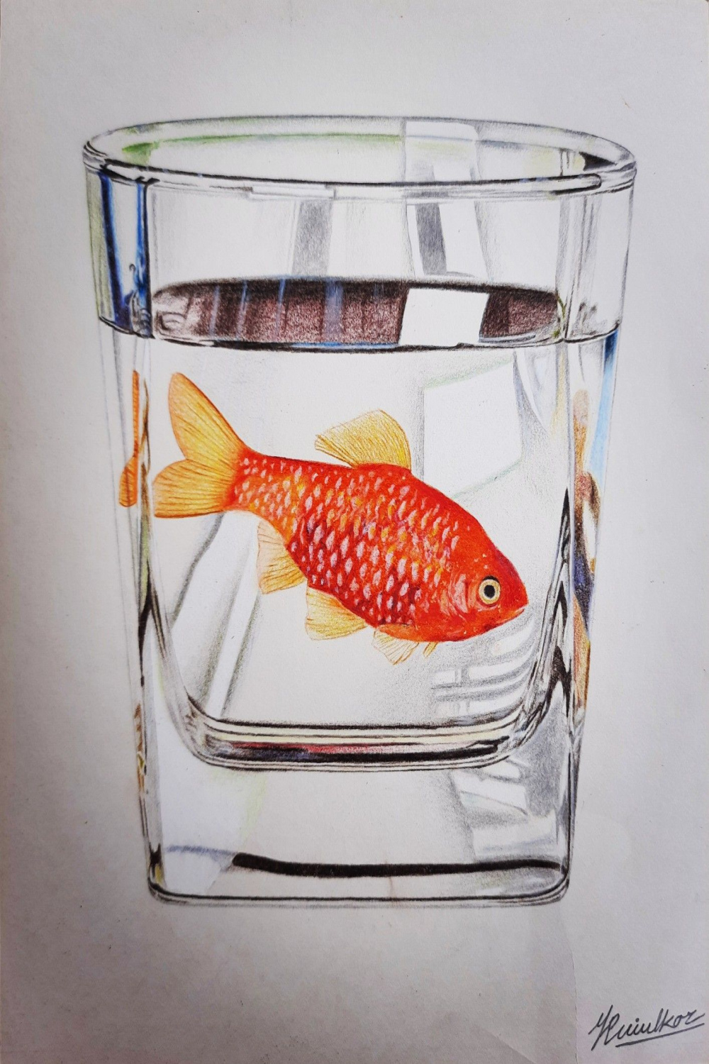 D Fish 🐠 Realistic Color Pencil Artwork ✏ 🎨  Colored pencil