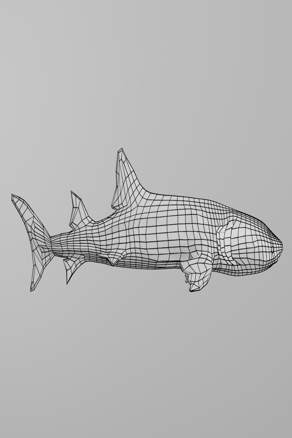 D whale shark model - TurboSquid