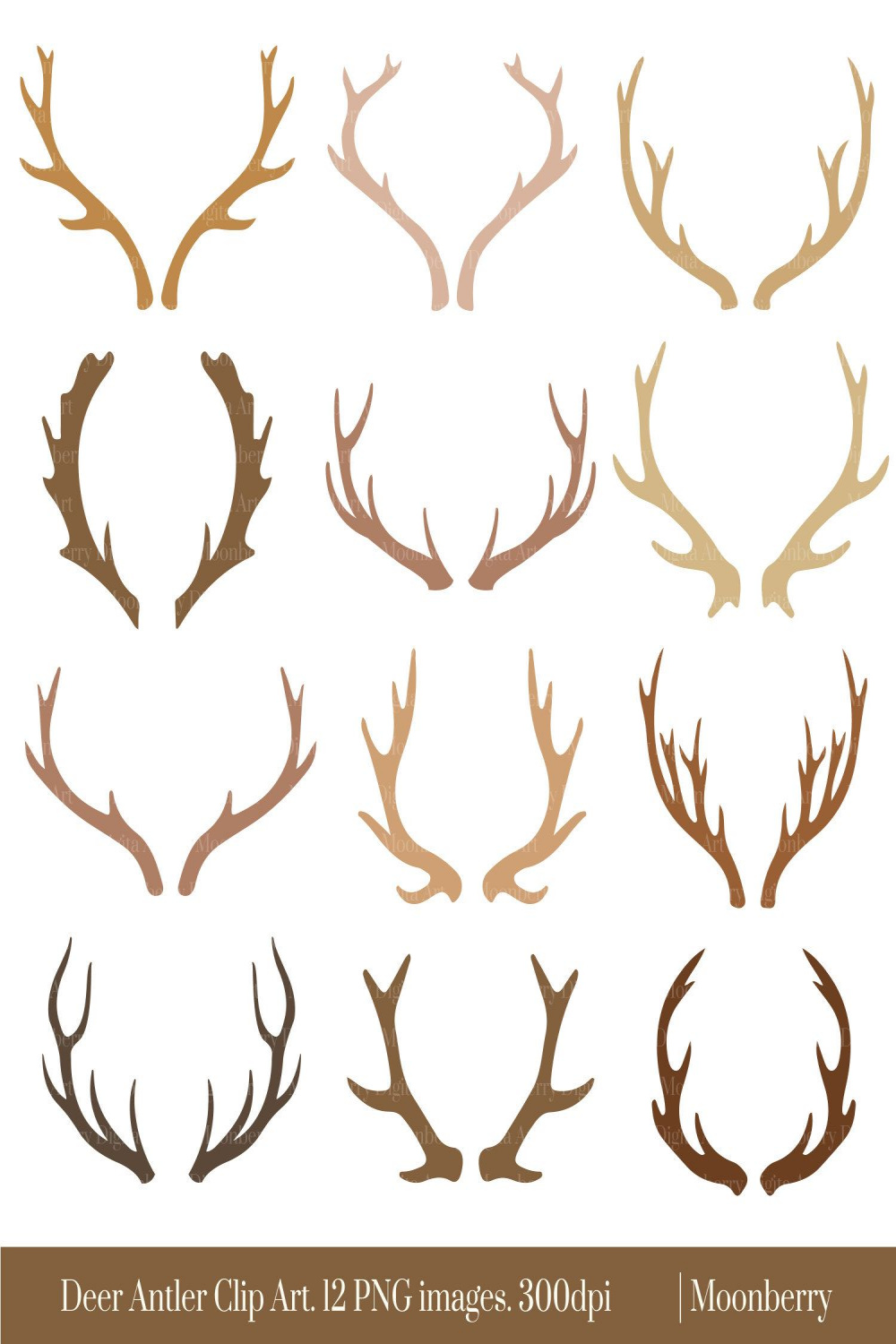 Deer Antler Clipart Deer Horns Clipart Deer Antlers Horn Clipart