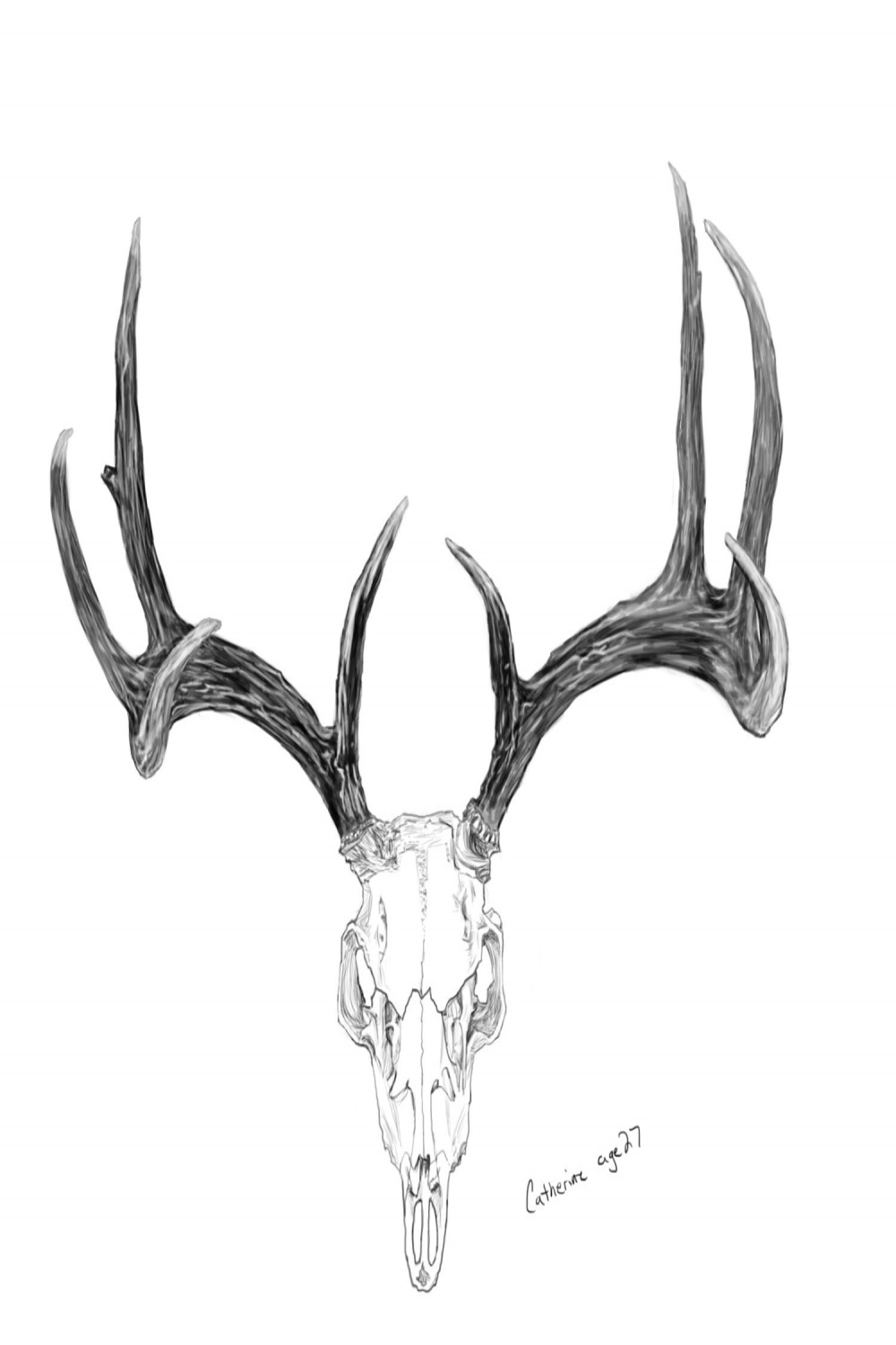 Deer Antlers Sketch Sketch Template  Deer skull tattoos, Antler