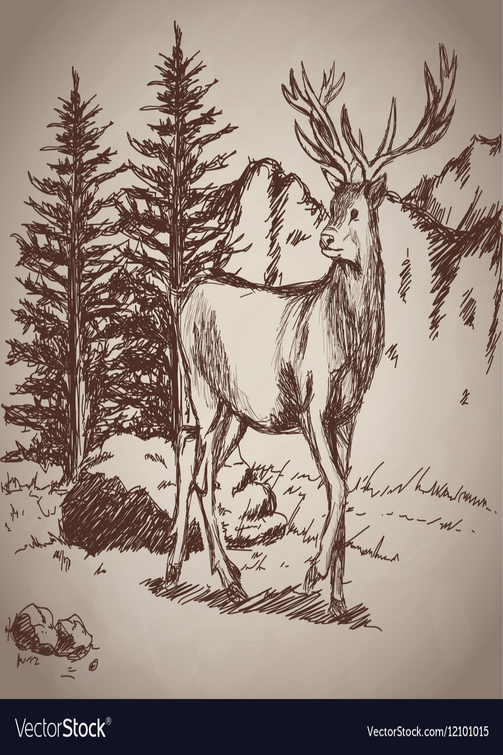 Deer hand drawing landscape vintage Royalty Free Vector